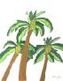 Palms